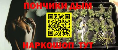ешки Бердск