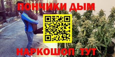 индика Ачхой-Мартан