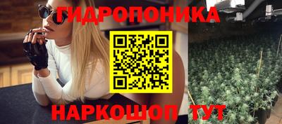 индика Ачхой-Мартан
